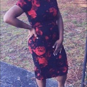 Enfocus Studio Dress